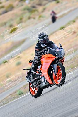 media/Apr-26-2025-2WTD (Sat) [[797c348bd3]]/C Group/240pm/